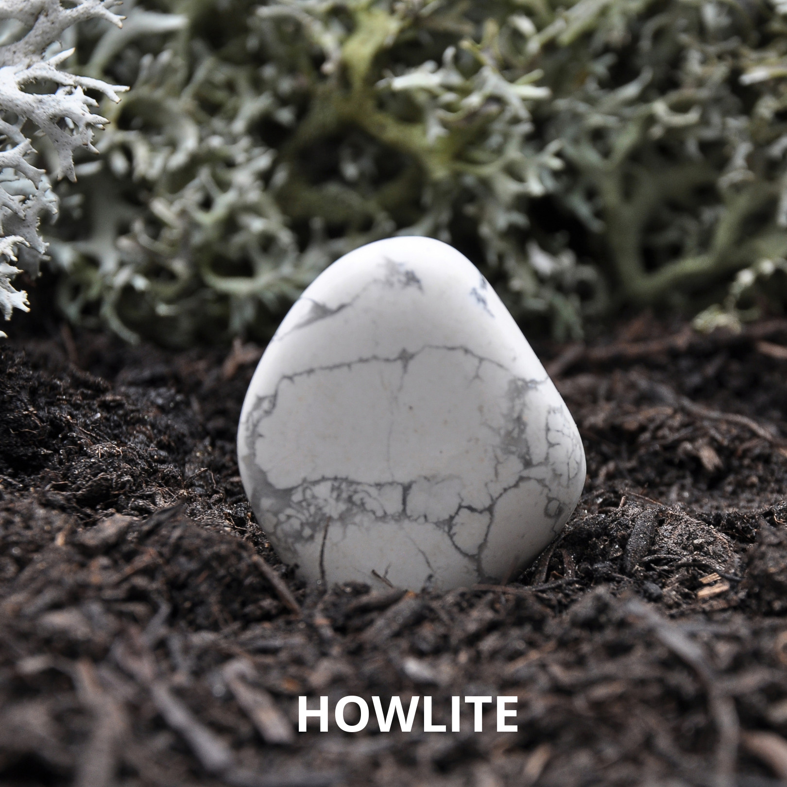 Can Howlite go in the Water? Is Howlite Water Safe: Interesting Guide