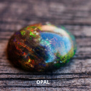 Can Opal go in the water?