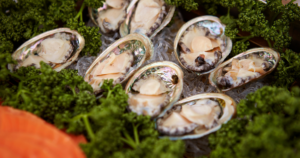 Jewelry and Health: The Benefits and Healing Qualities of Abalone