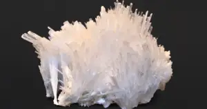 How to identify a Scolecite