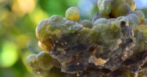 Prehnite: Meaning, Healing Properties, Benefits And Uses