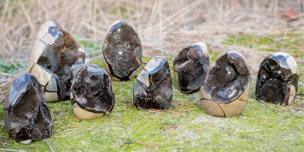 Septarian Contraction Septarian Nodule Meaning: Healing Properties, Benefits and Uses ...
