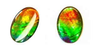What are Ammolite Crystal Properties? 