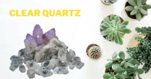 Clear Quartz crystals for plants