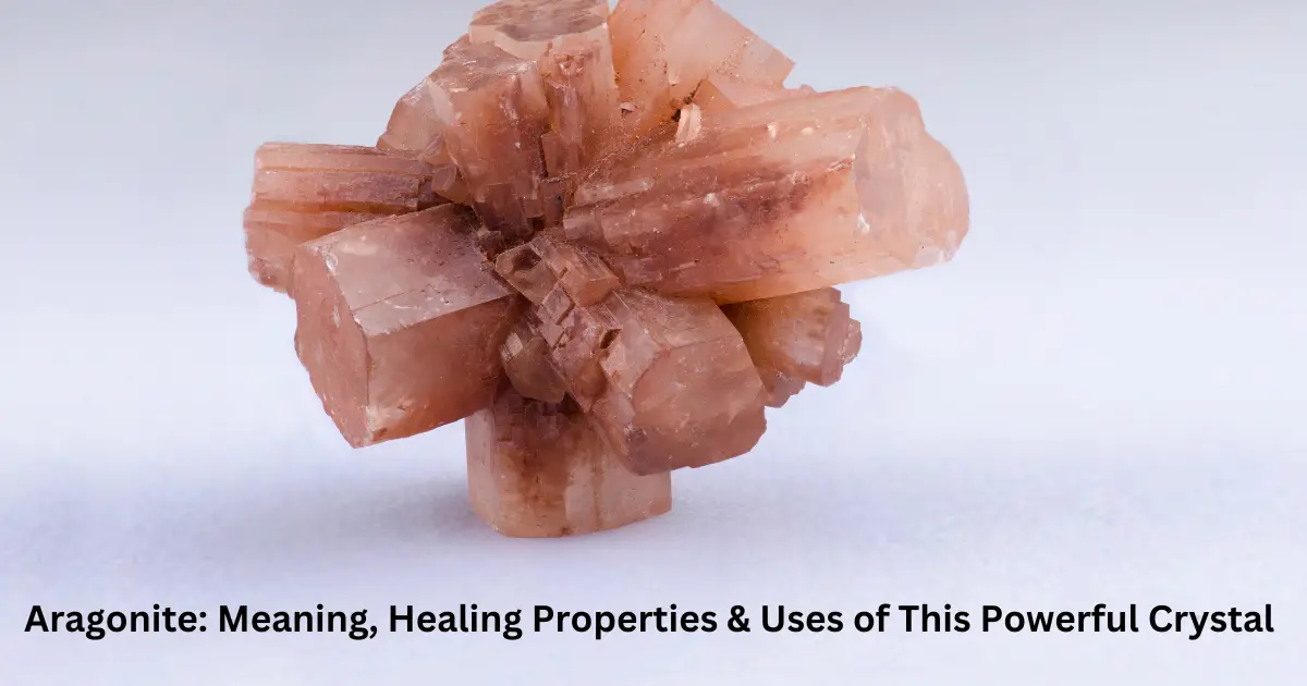 Aragonite: Meaning, Healing Properties & Uses of This Powerful Crystal