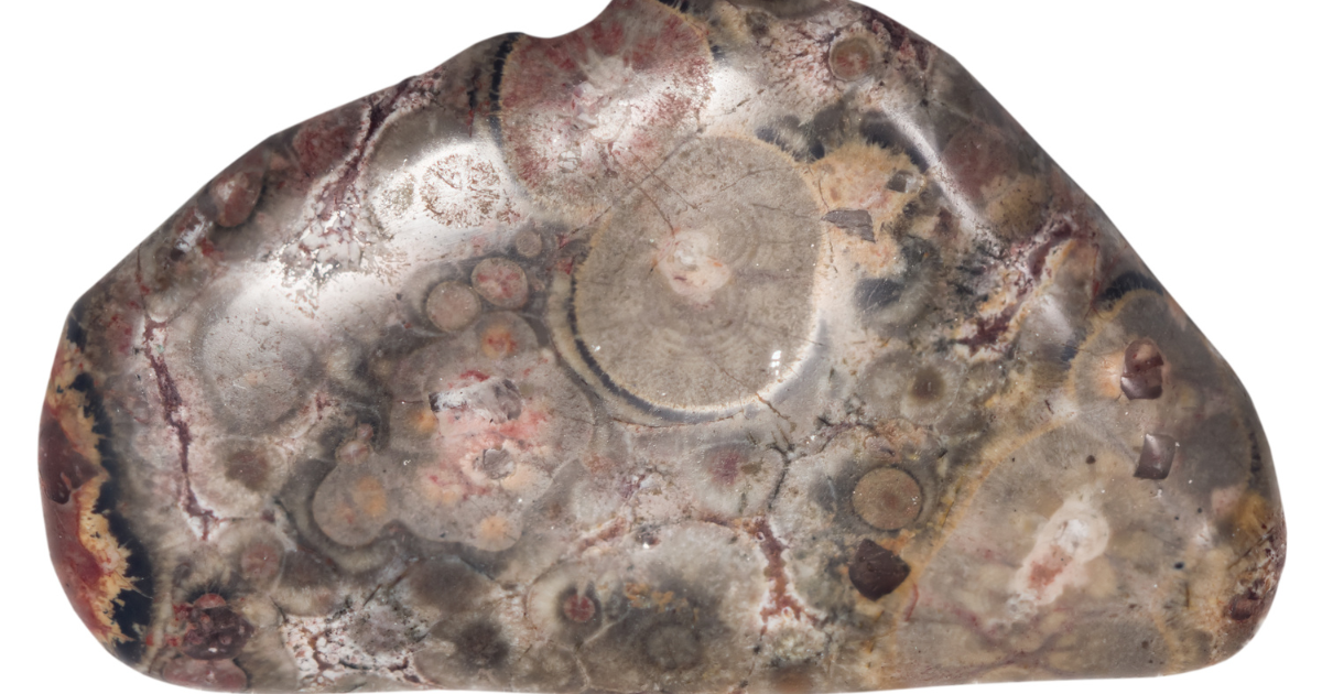 Leopard Skin Jasper Meaning Healing Properties, Benefits and Uses