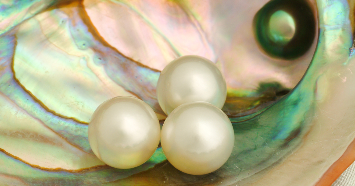 Ivory Meaning Healing Properties, Benefits and Uses