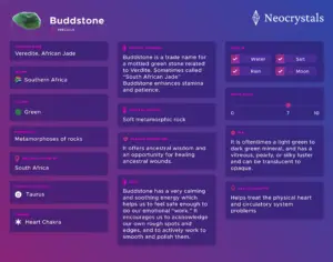 Buddstone Infographic