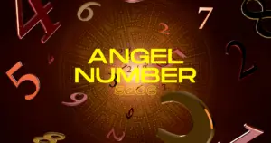 Numerology for Angel Number 5206