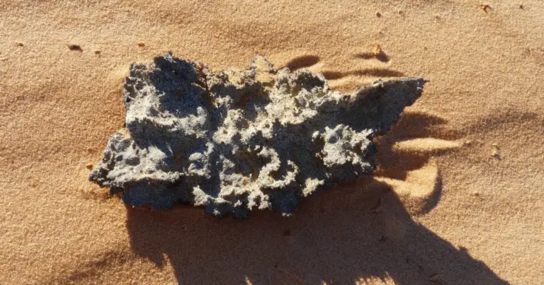 Fulgurite Meaning: Healing Properties, Benefits and Uses