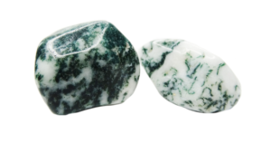 - Tree Agate Cuts and Shapes