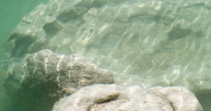 Stromatolite Benefits